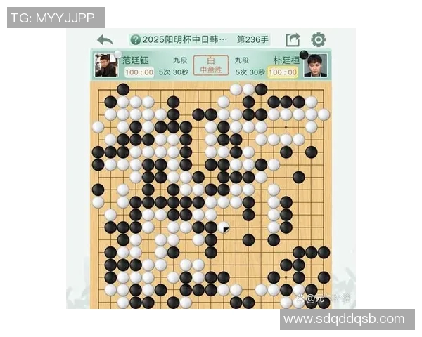 围棋天元赛四强对阵揭晓谁将争夺最终冠军荣耀