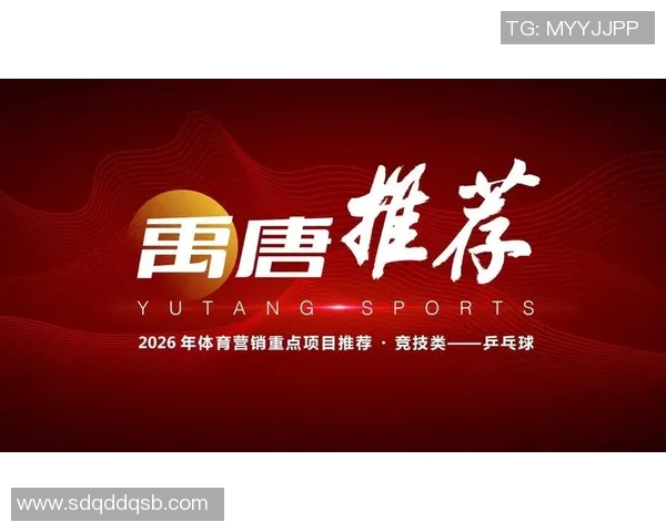 乒乓球赛事器材赞助商名单正式公布及相关合作信息解读