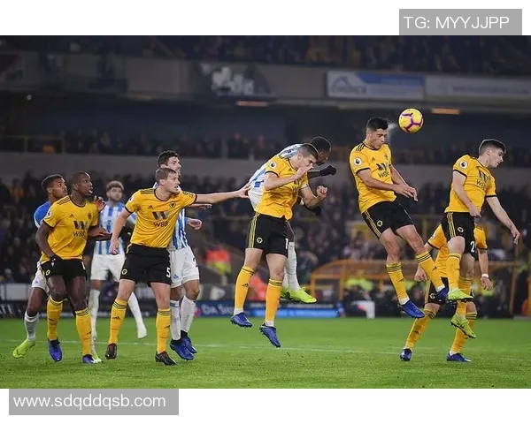 沃尔夫斯堡引进前法兰克福球员,加强中场实力 沃尔夫斯堡引进前法兰克福球员,加强中场实力